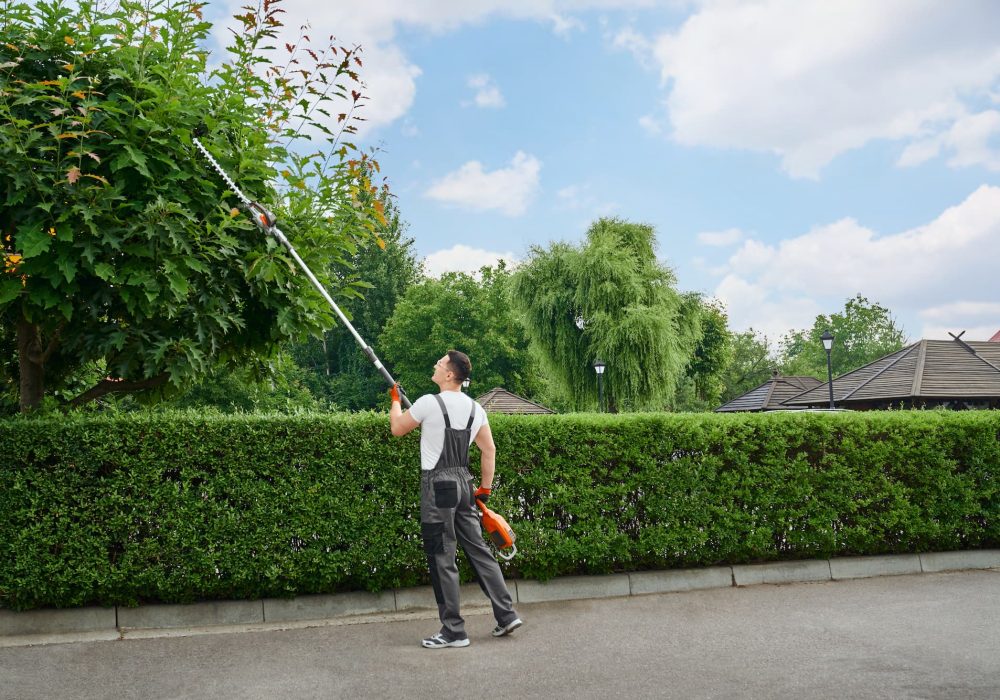 Tree Trimming and Removal Service in Fleming Island, FL